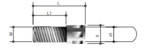 10er-Set Schlauchfassung mit Gewinde M10, L:75,0mm/L1:57,0mm, d:12,0mm, d1:10,2mm